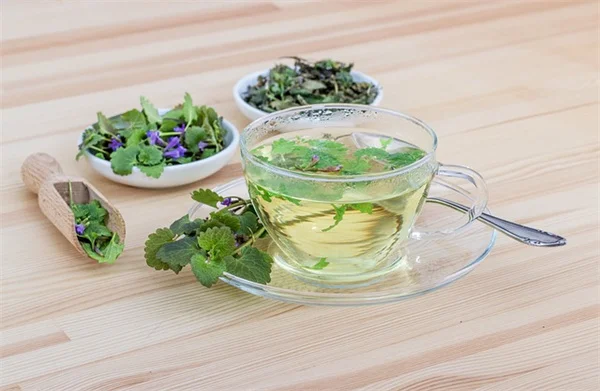 ほったらかしでも育つ観葉植物6選！初心者でも育てられる簡単な品種を紹介