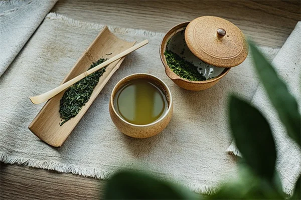 6月の害虫対策！すぐにできる駆除方法6選