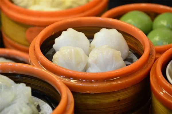 野菜畑フェンスの失敗しない選び方・設置方法｜害獣別おすすめ対策を紹介