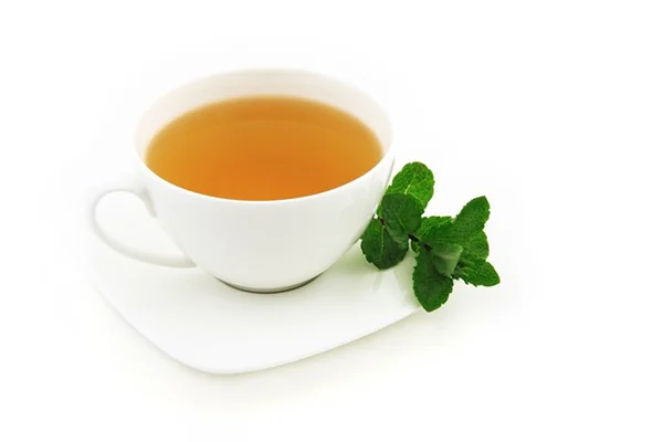 蘭の育て方でよくある7つの失敗とその解決法