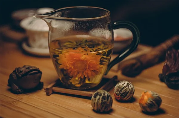 レンズ豆の収穫時期は？失敗しない3つのルール