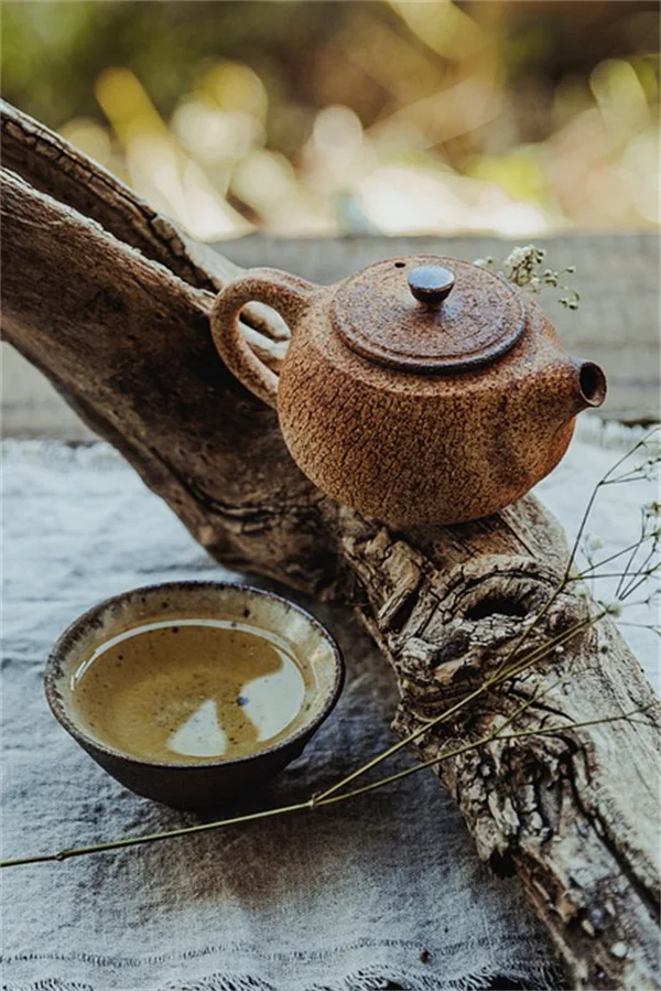 常結果植物とは？意味と一季成りとの違いを徹底解説
